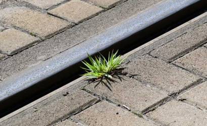 Szegedi villamospálya sikere